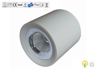 Ánh sáng LED ngoài trời 160Lm / W IP65 chống thấm Thiết bị gắn trên bề mặt thông minh với điều khiển Epistar